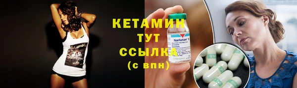ПСИЛОЦИБИНОВЫЕ ГРИБЫ Тайга