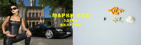 тгк Бородино