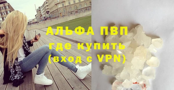 ПСИЛОЦИБИНОВЫЕ ГРИБЫ Тайга