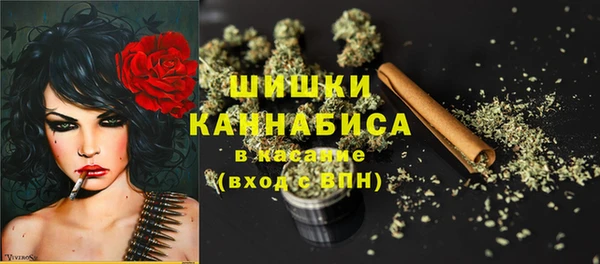тгк Бородино