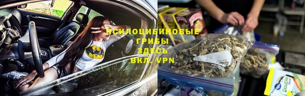 тгк Бородино