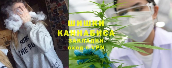 тгк Бородино